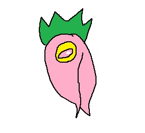星のカービィ クエスチョンデラックス キャラクター編 より出題 問題 またもや難しい問題です 画力不 けんてーごっこ みんなが作った検定クイズが50万問以上