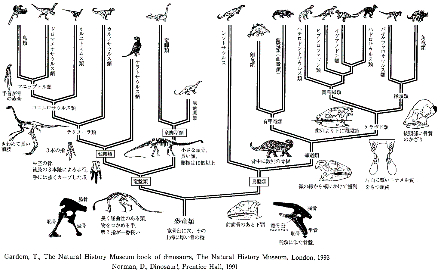 恐竜検定 By 匿名希望 けんてーごっこ みんなが作った検定クイズが50万問以上 恐竜検定 By 匿名希望 けんてーごっこ みんなが作った検定クイズが50万問以上