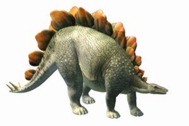恐竜検定より出題 問題 ステゴサウルスの板の機能で 現在否定されているのは けんてーごっこ みんなが作った検定クイズが50万問以上