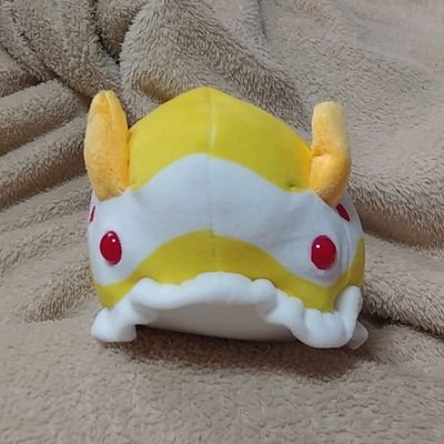 ポケモンハンターj検定 By モキュヌベ けんてーごっこ みんなが作った検定クイズが50万問以上