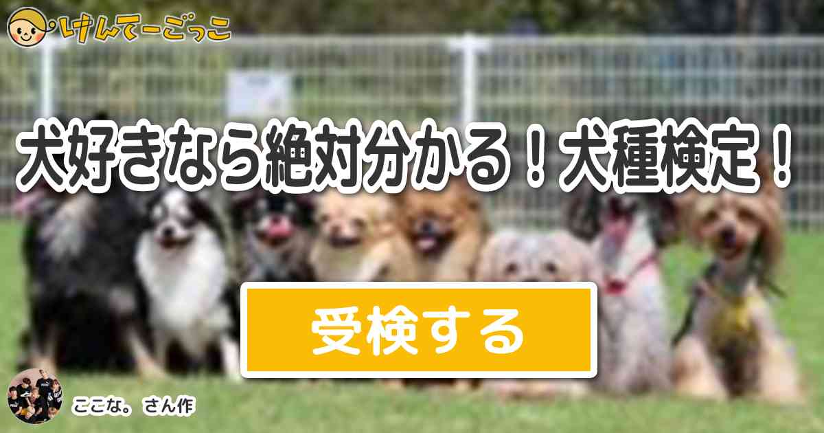 犬好きなら絶対分かる 犬種検定 By ここな けんてーごっこ みんなが作った検定クイズが50万問以上